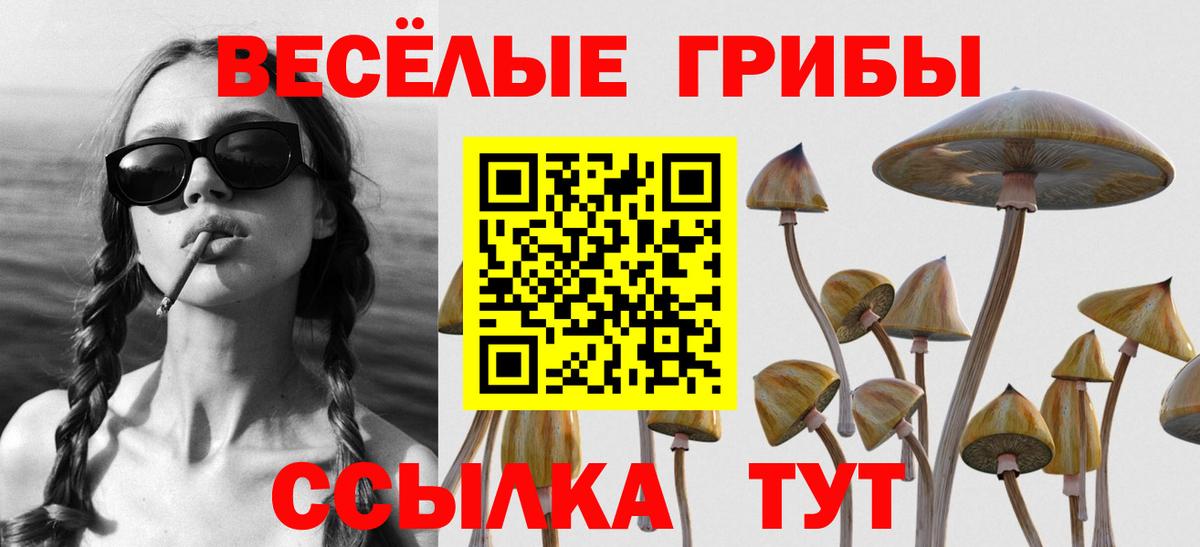 Псилоцибиновые грибы Psilocybe  Галлюциногенные грибы MAGIC MUSHROOMS  Вход с VPN  Ковров 